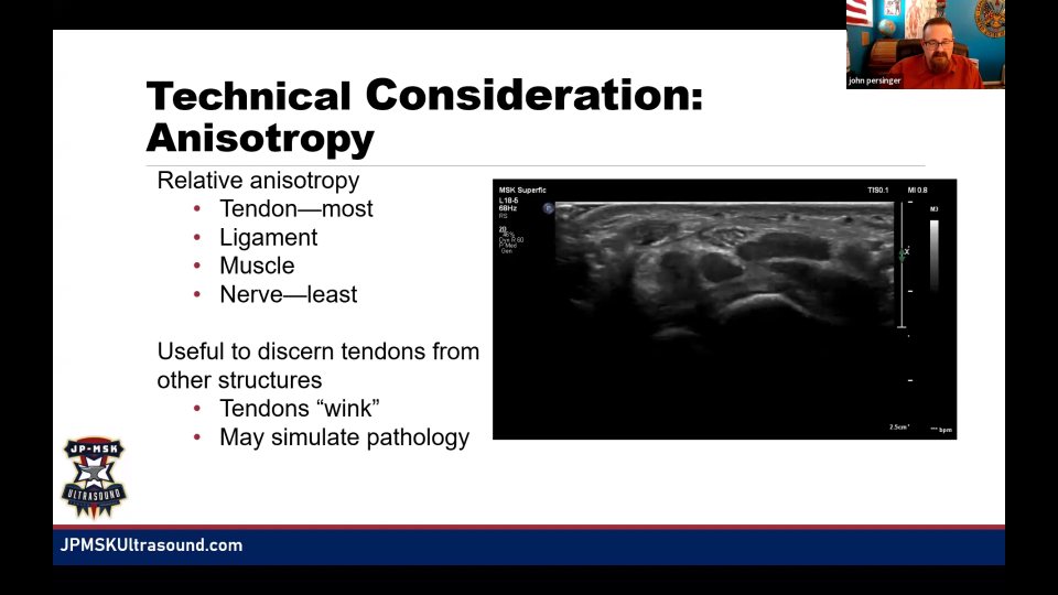 Carpal tunnel 動態示範：用 anisotropy 分辨 tendon 與 nerve，21:10 的代表畫面