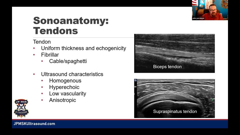 組織辨識一：bone、articular cartilage、tendon 與 ligament，23:28 的代表畫面